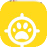 Lost Pets